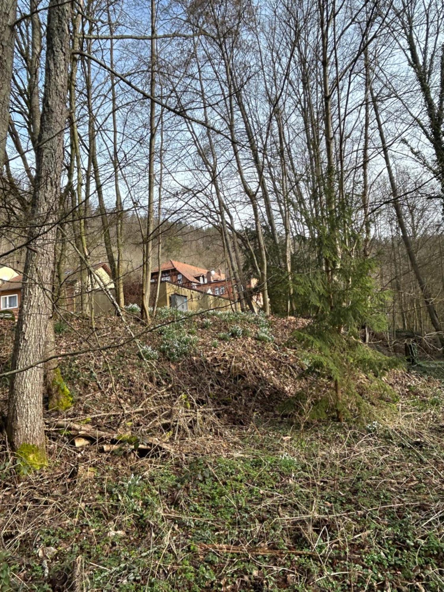 Villa Am Fluss Pforzheim Ngoại thất bức ảnh