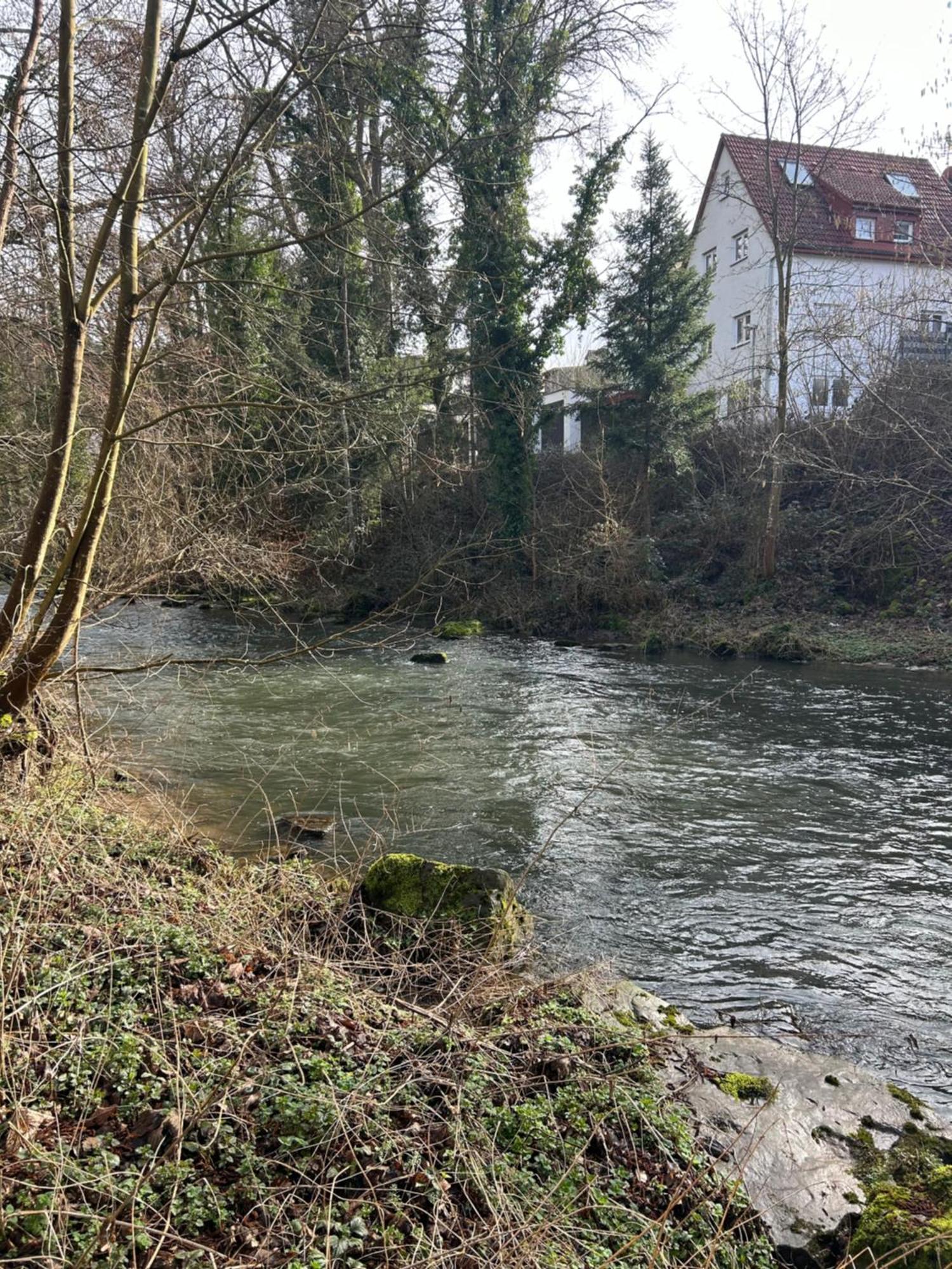 Villa Am Fluss Pforzheim Ngoại thất bức ảnh